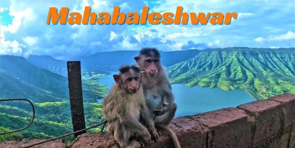 महाबलेश्वर Mahabaleshwar Best Tourist Place